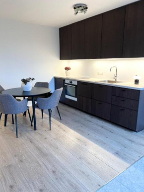 Lónið Apartments